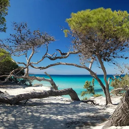 T2 Pour 4 Pers, Charmante Avec Piscine Apartmán