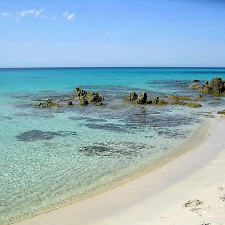 T2 Pour 4 Pers, Charmante Avec Piscine *