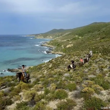 Appartamento T2 Pour 4 Pers, Charmante Avec Piscine *