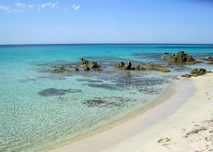 T2 Pour 4 Pers, Charmante Avec Piscine *